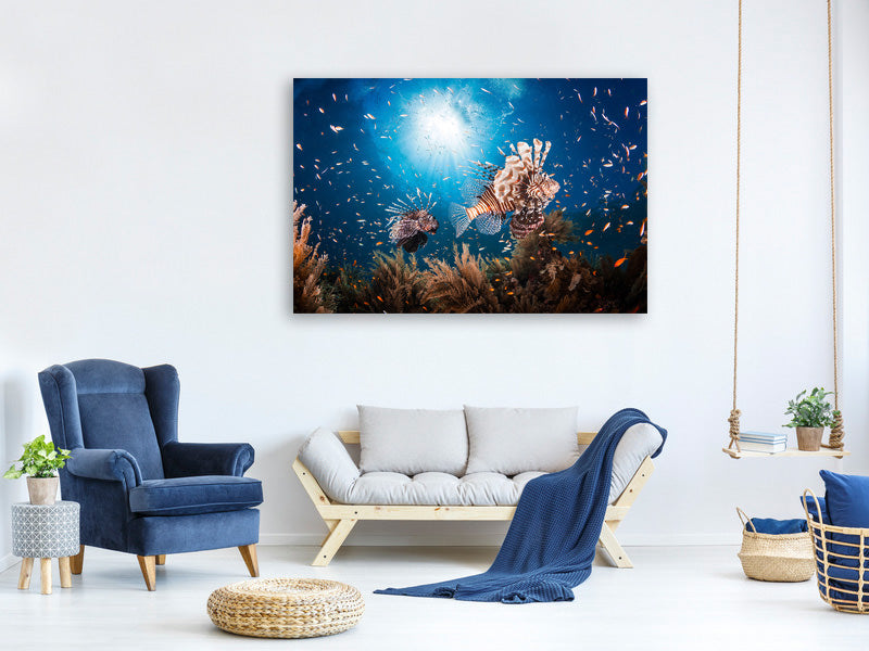 5-piece-canvas-print-lionfish-ii