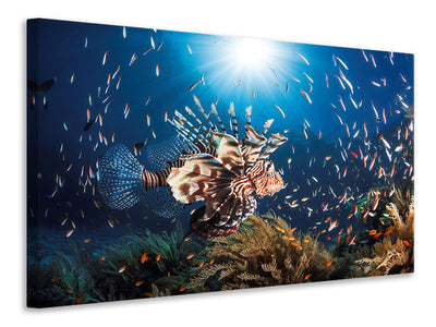 modern-3-piece-canvas-print-lionfish