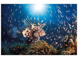 modern-3-piece-canvas-print-lionfish