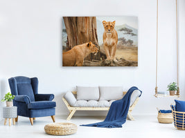 3-piece-canvas-print-lions-in-africa