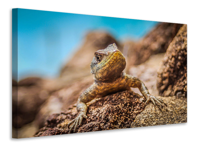 3-piece-canvas-print-little-alligator