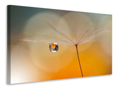 panoramic-canvas-print-little-night-music