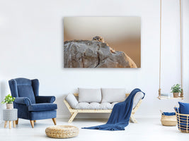 modern-3-piece-canvas-print-little-owl