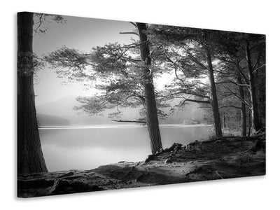 modern-4-piece-canvas-print-loch-an-eilein