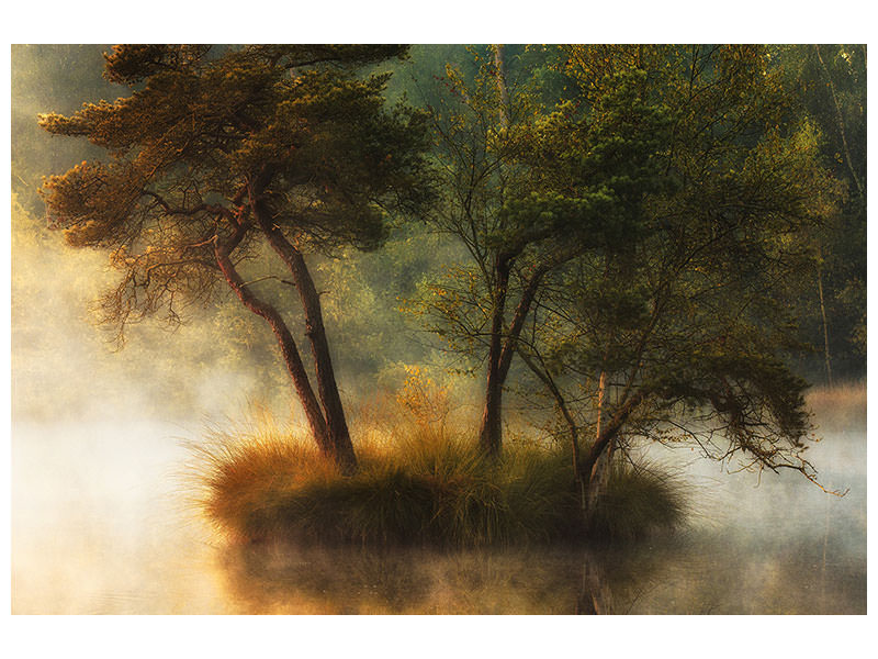 modern-3-piece-canvas-print-lonely-island