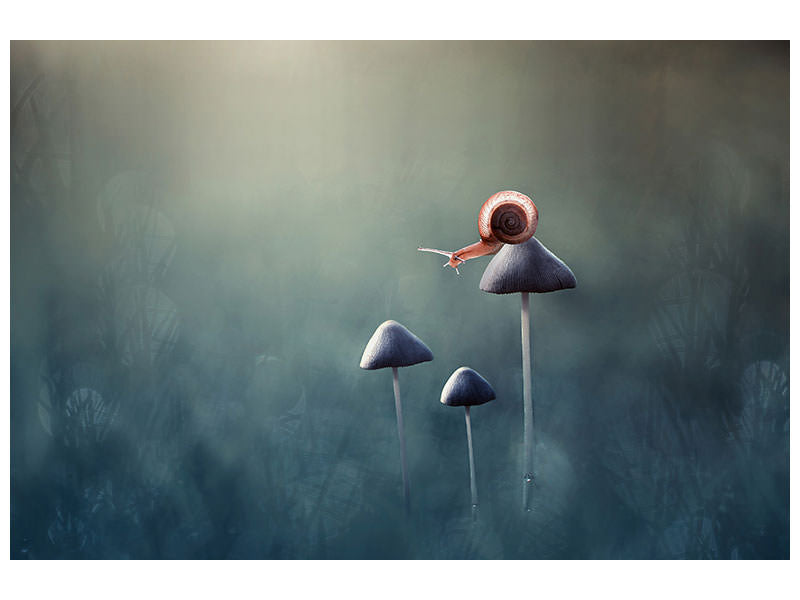 3-piece-canvas-print-lonely