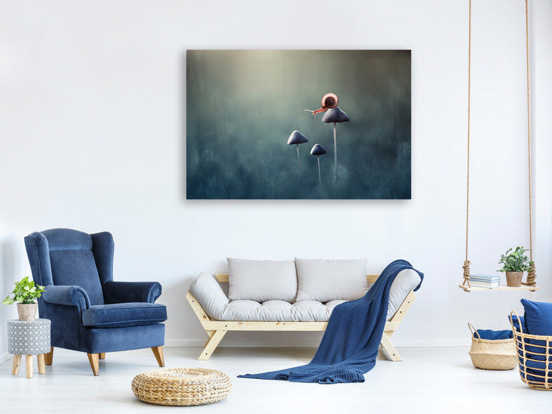 panoramic-canvas-print-lonely