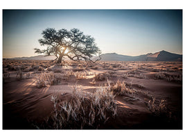 3-piece-canvas-print-longing-africa