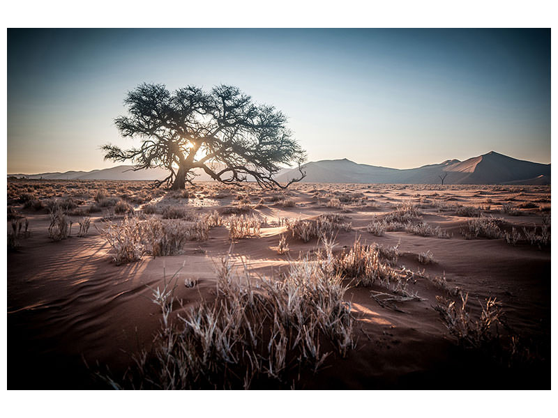 3-piece-canvas-print-longing-africa