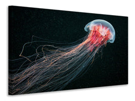 5-piece-canvas-print-longtail