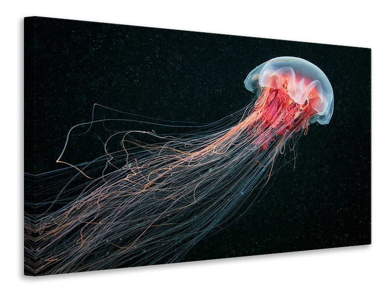 modern-3-piece-canvas-print-longtail
