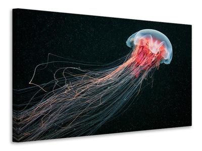 modern-3-piece-canvas-print-longtail