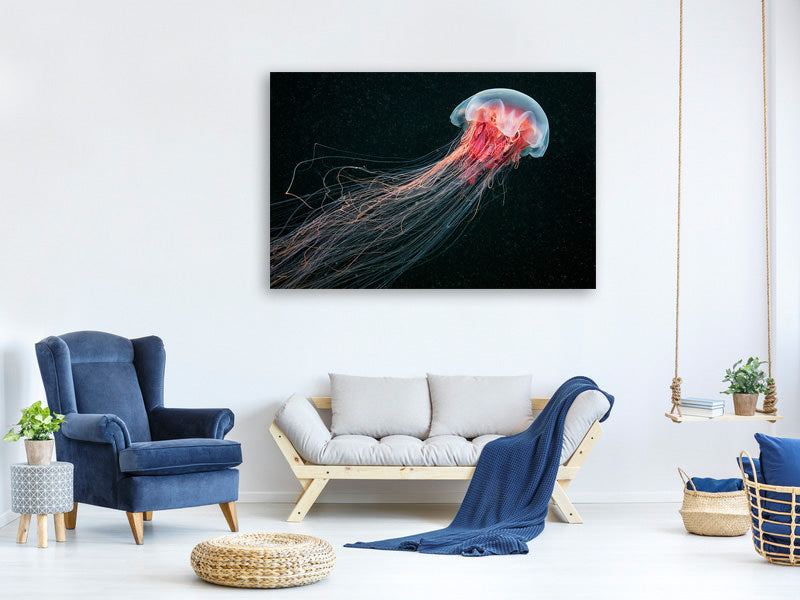 4-piece-canvas-print-longtail