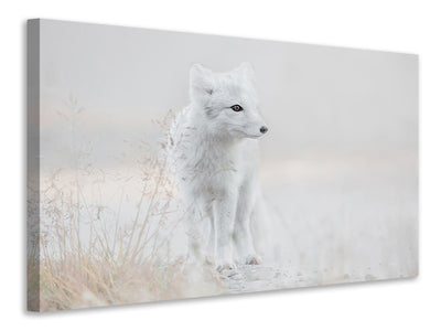 3-piece-canvas-print-looking-around