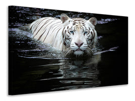 3-piece-canvas-print-looking-at-me-looking-at-you