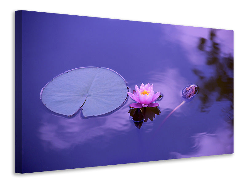 modern-4-piece-canvas-print-lotus-flower