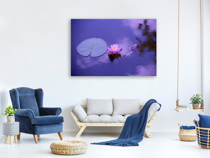 panoramic-canvas-print-lotus-flower