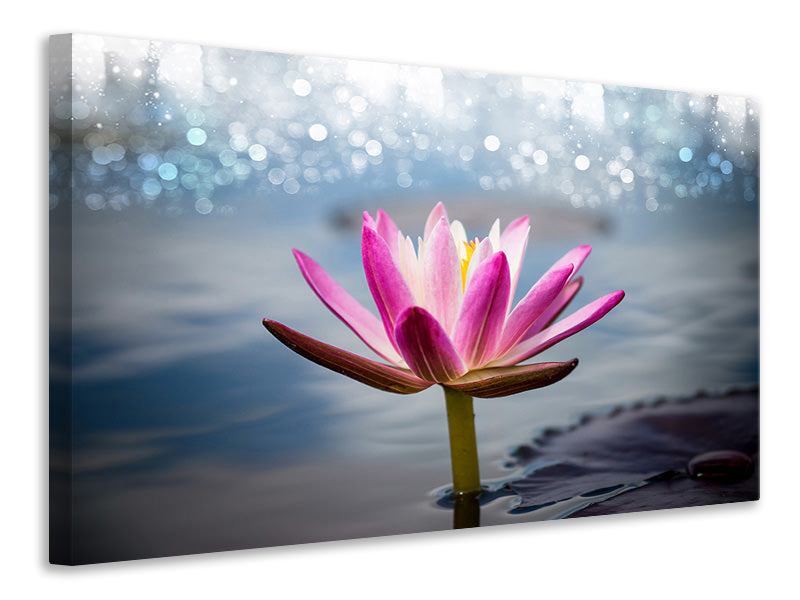 modern-4-piece-canvas-print-lotus-in-the-morning-dew