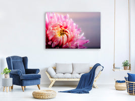 4-piece-canvas-print-macro-chrysanthemum
