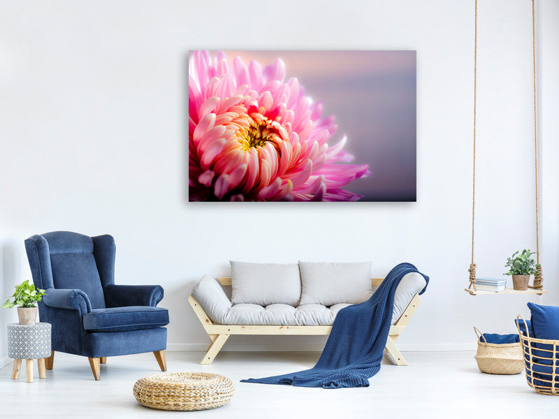 4-piece-canvas-print-macro-chrysanthemum
