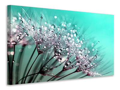 modern-3-piece-canvas-print-macro-dandelion-p