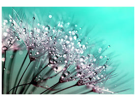 panoramic-canvas-print-macro-dandelion-p