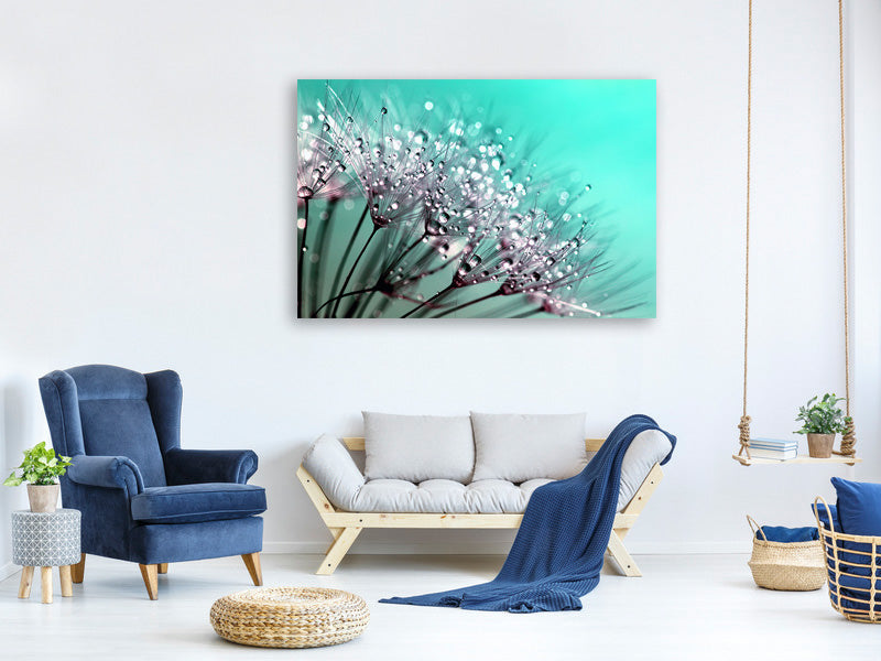 panoramic-3-piece-canvas-print-macro-dandelion-p