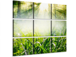 canvas-print-magic-forest