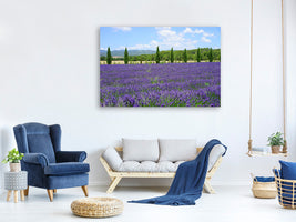 3-piece-canvas-print-magnificent-lavender-field