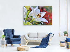 modern-3-piece-canvas-print-magnificent-lily-in-white