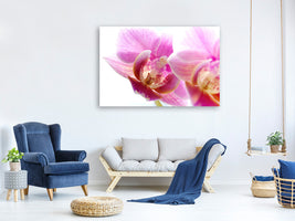panoramic-3-piece-canvas-print-magnificent-phalaenopsis