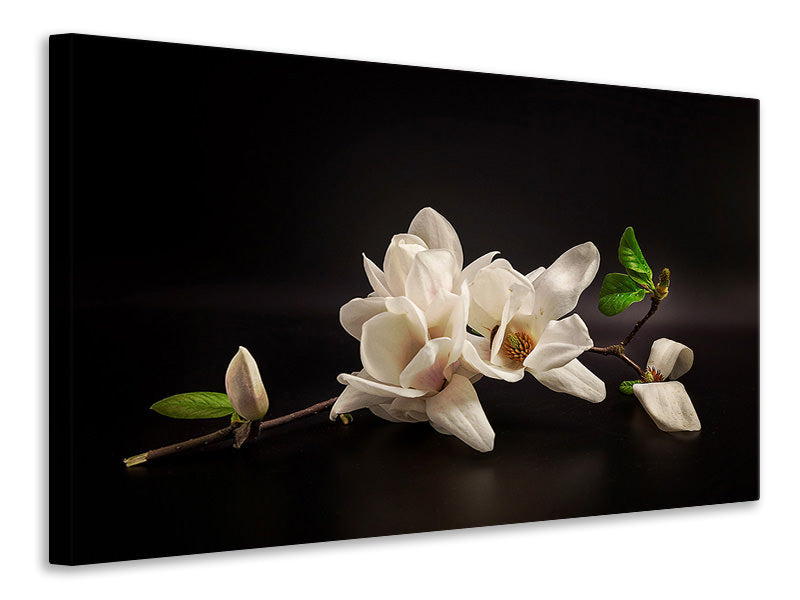 modern-3-piece-canvas-print-magnolia