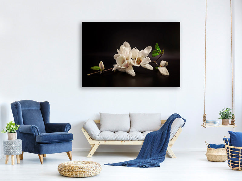 3-piece-canvas-print-magnolia