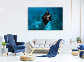 modern-4-piece-canvas-print-manta-fly