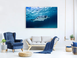 modern-3-piece-canvas-print-manta-ray