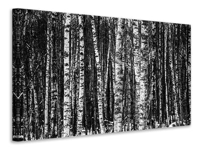 5-piece-canvas-print-many-birches-xl