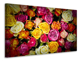 panoramic-3-piece-canvas-print-many-colorful-rose-petals