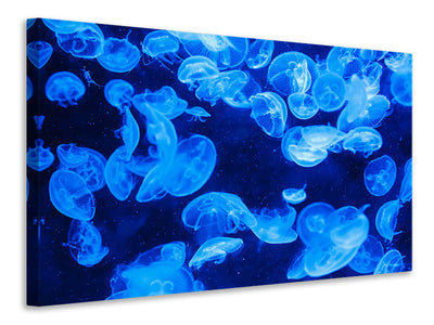 3-piece-canvas-print-many-jellyfish-in-the-blue-water