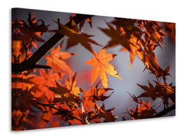 5-piece-canvas-print-maple-leaves-in-autumn