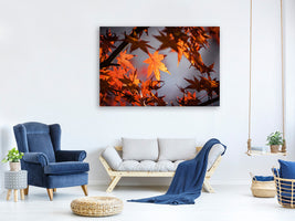 modern-3-piece-canvas-print-maple-leaves-in-autumn
