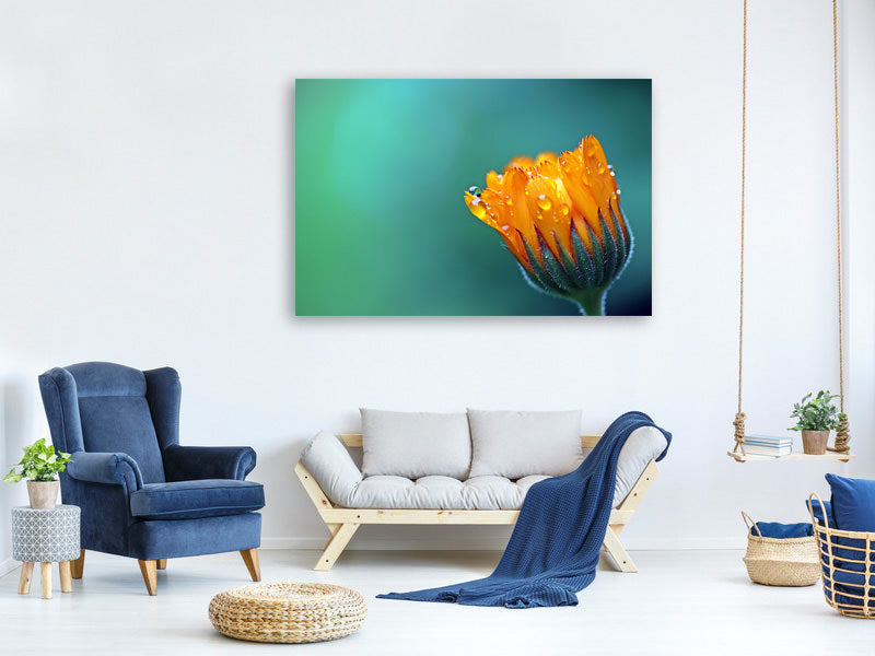 modern-4-piece-canvas-print-marigold-in-morning-dew