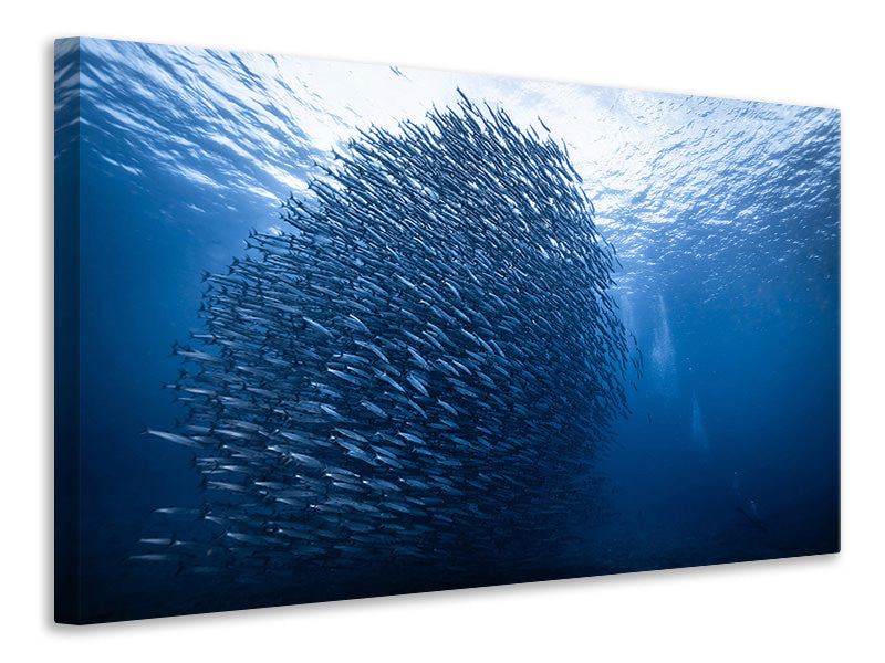 3-piece-canvas-print-mass-giant