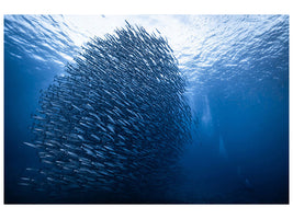 4-piece-canvas-print-mass-giant