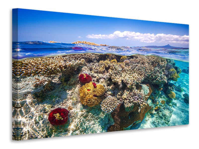 modern-3-piece-canvas-print-mayotte-the-reef