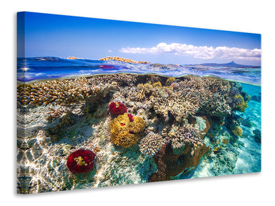 modern-3-piece-canvas-print-mayotte-the-reef