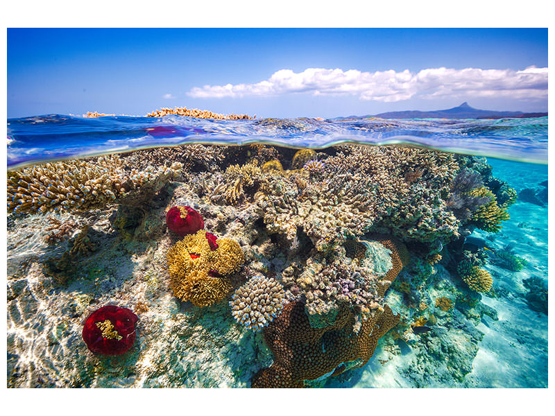 panoramic-canvas-print-mayotte-the-reef