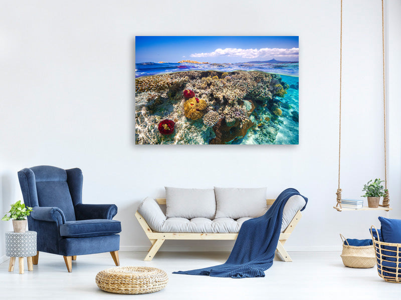 4-piece-canvas-print-mayotte-the-reef