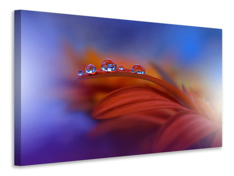 4-piece-canvas-print-metamorphosis