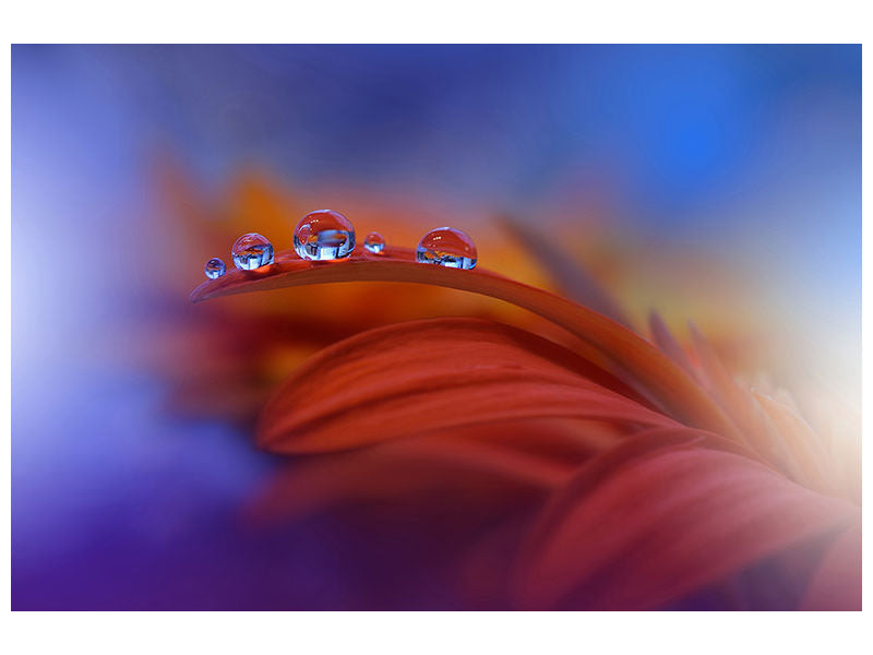modern-3-piece-canvas-print-metamorphosis