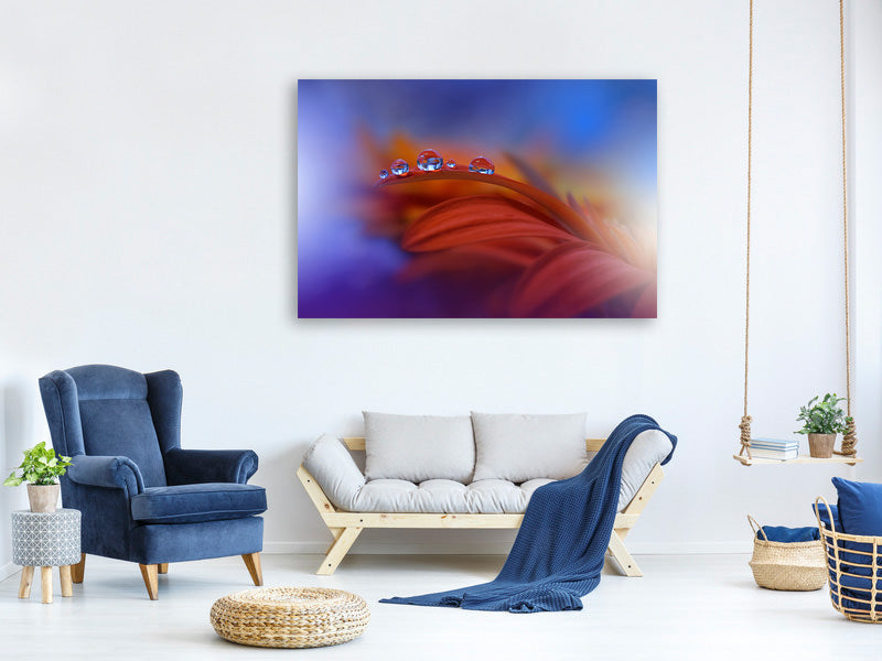 modern-3-piece-canvas-print-metamorphosis